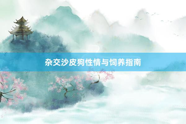 杂交沙皮狗性情与饲养指南