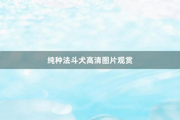 纯种法斗犬高清图片观赏
