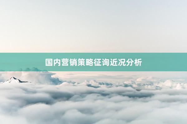 国内营销策略征询近况分析